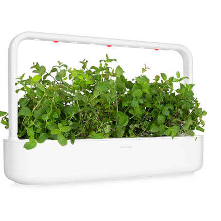 Click &amp; Grow Smart Garden Peppermint Plant Pods 3 Pack