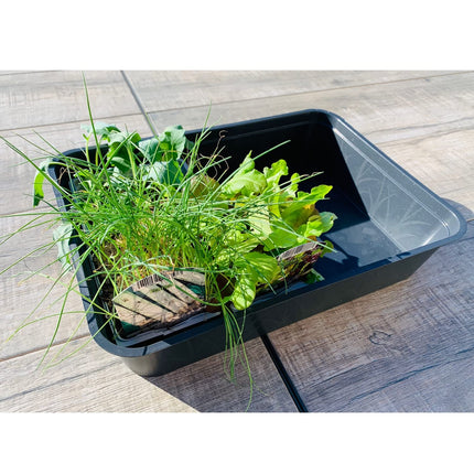 KRONLY 2 pieces sturdy planting bowl without bottom holes 38 x 28 x 8cm - pricking out bowl for plants tub bowls garden cultivation