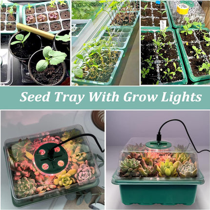 VDYXEW Mini Greenhouse with Light, Growing Greenhouse, Sun-like Plant Lights with Full Spectrum, Growing Kit Indoor Greenhouse Grow Box Plant Lamp Growing (2 Pack LED)