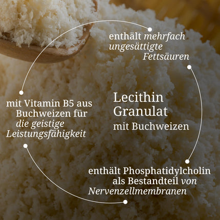 BÄRBEL DREXEL® Soy Lecithin Granules (750g) Pure lecithin 100% Vegan Made in Germany, without genetic engineering, unique active ingredient complex, unsaturated fatty acids + choline, B vitamins, buckwheat