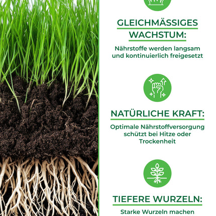 Organic Lawn Fertilizer Spring TEST WINNER Made in Germany – 2.5kg for 100sqm – Organic Lawn Fertilizer for healthy soil &amp; lush green lawn – Lawn Fertilizer, Spring Lawn Fertilizer from Natureflow Garden