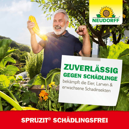 Neudorff Spruzit Pest-Free – Concentrate combats pests such as box tree moths, aphids, and thrips on ornamental plants, vegetables, and herbs, 250 ml