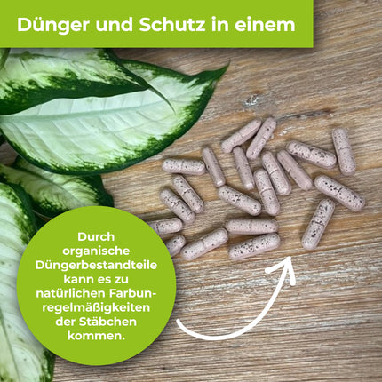 PROTECT GARDEN Lizetan Plus Combi Sticks, long-term pest control and premium fertilizer in one, 40 sticks
