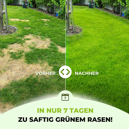 TerraUno Lawn Fertilizer Spring/Summer I Immediate effect for lush green I 20 kg for 1000 m² I Healthy lawn displaces moss and weeds I NPK fertilizer lawn I Against drought stress I For the spreader