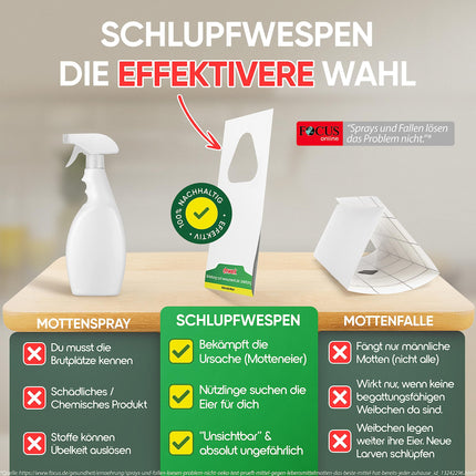 anwerk® Parasitic Wasps against Clothes Moths - 8 cards with 1 delivery each - Effectively combat clothes moths - Alternative to moth traps, moth sprays, and pheromone traps