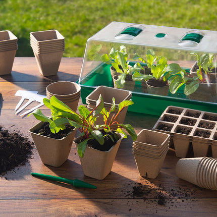 Meister Growing Pots 8 x 8 cm - Practical set of 96 - Made of paper pulp - Biodegradable / Plant pot / Seed pot / Plant cultivation / WU9968330, Natural