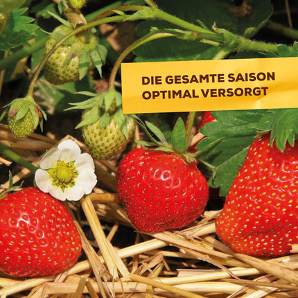 Solabiol Berry &amp; Fruit Fertilizer, special fertilizer with immediate and long-term effect for all berry plants, pome and stone fruits 1.5 kg