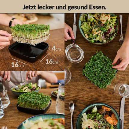 Otaro Cress Seed Trays (Black) | Get started right away | Elegant cress strainer, sprouting trays, sprouting tray | Perfect as thank-you gifts (Premium Ceramic Set)