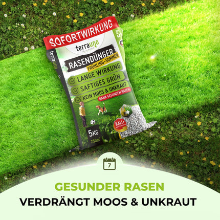 TerraUno Lawn Fertilizer Spring/Summer I Immediate effect for lush green I 20 kg for 1000 m² I Healthy lawn displaces moss and weeds I NPK fertilizer lawn I Against drought stress I For the spreader
