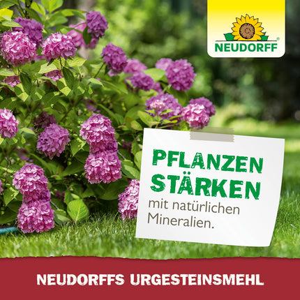 Neudorff UrgesteinsMehl - Natural diabase rock flour with natural long-term effect for soil improvement for all soil types, 2.5 kg for 25 m²