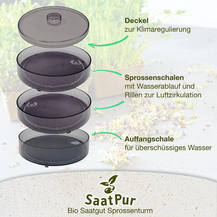 SaatPur® Sprouting Box Set 2 with two levels as a sprouting device: Sprout cultivation and microgreens growing trays. Germination box, germination tray, sprouting box, sprouting house, germination device