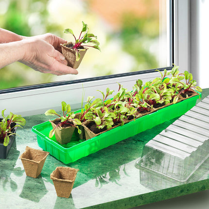 Meister Indoor Greenhouse - 54 x 15 x 12 cm - 2 pieces - With recesses &amp; water channels - Including 32 growing pots / Grow house for seeds &amp; seedlings / Indoor greenhouse / 9968210