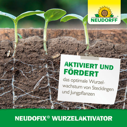 Neudorff Neudofix Root Activator – Natural root activator for optimal and rapid root growth of cuttings and young plants, 40 g, multicolored
