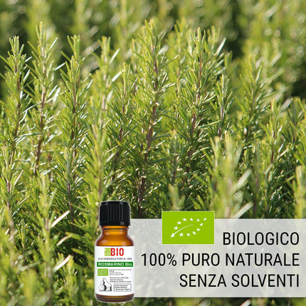 Rosemary Oil Organic Essential Oil 100% Pure 30 ml - Aromatherapy Cosmetic Therapeutic - Laborbio