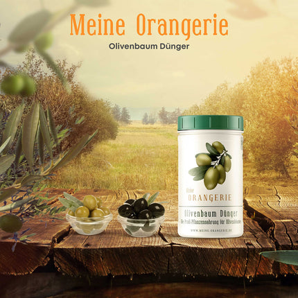 My Orangery Olive Tree Fertilizer [1kg] - Premium Plant Fertilizer - Avoid ready-made liquid fertilizers for your plants - Olive Tree Fertilizer