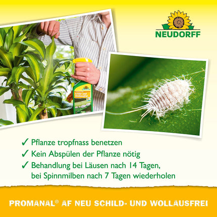 Neudorff Promanal AF New Scale and Mealybug Free – Combats scale and mealybugs as well as spider mites on hard-leaved ornamental plants such as oleander and olive, 500 ml, colorful