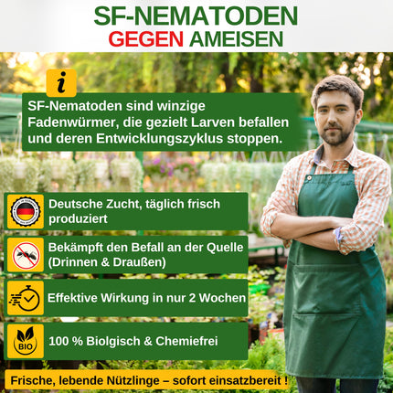 GREEN GUARDIA Super SF Nematodes against ants – 10 million for 20m² – Biological agent for effective ant control – Environmentally friendly, chemical-free, easy to use