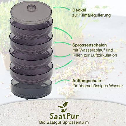SaatPur® Sprouting Box Set 4 with four levels as a sprouting device: Sprout cultivation and microgreens growing trays. Germination box, germination tray, sprouting box, sprouting house, sprouting device
