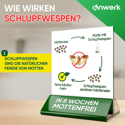 anwerk® Parasitic Wasps against Food Moths - 8 Cards (2 cards with 4 deliveries) - Effectively combat food moths - Alternative to moth traps, moth sprays, and pheromone traps