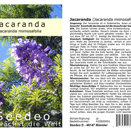 Seedeo® Jacaranda Grow Kit (Jacaranda mimosafolia)