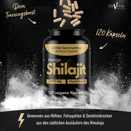 Mumijo Shilajit capsules, high dose 1000mg per daily dose, the original from the Himalayas, 120 capsules, vegan &amp; laboratory tested