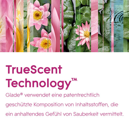 Glade (Brise) Automatic Spray, Room Fragrance, Holder incl. 1 Refill, Relaxing Zen, 269 ml