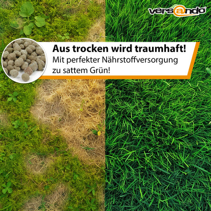 versando 10kg lawn fertilizer spring summer up to 500m²: displaces moss and weeds for a healthy, lush green lawn. Spring fertilizer with immediate effect - premium quality.