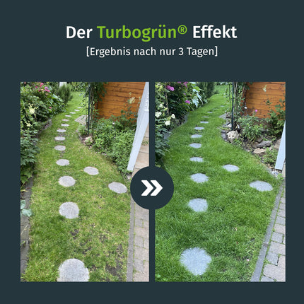 Extra-Power 10kg, lawn fertilizer, nitrogen fertilizer, ideal in spring and summer, suitable for spreaders, low-dust granules, lawn fertilizer, Turbogreen