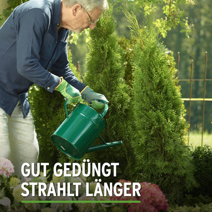 Substral Thuja-Vital, special fertilizer for spraying and watering thujas, cypresses, boxwood, cherry laurel, etc., 500 ml, green
