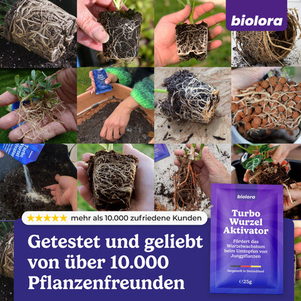 BIOLORA® 25g Turbo Root Activator - Strong root formation for cuttings and young plants - Indoor &amp; Outdoor
