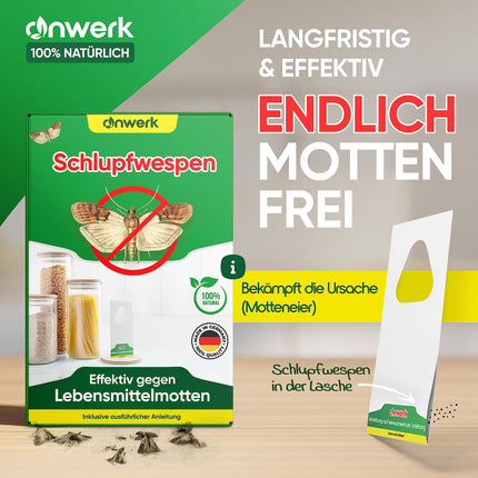 anwerk® Parasitic Wasps against Food Moths - 8 Cards (2 cards with 4 deliveries) - Effectively combat food moths - Alternative to moth traps, moth sprays, and pheromone traps