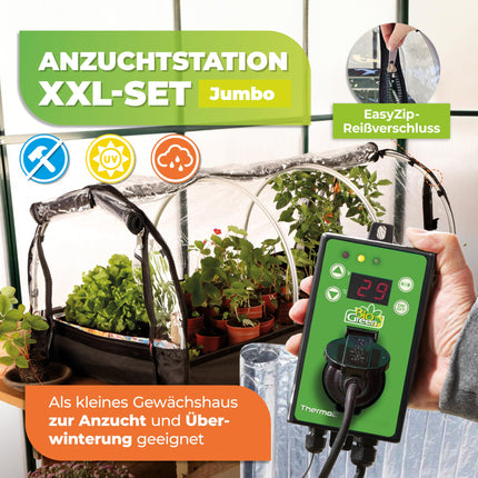 Bio Green XXL Jumbo Indoor Propagator | Set including heating mat &amp; digital thermostat | Robust aluminum frame | Propagation tray L 130 x W 60 x H 50 cm