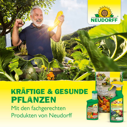 Neudorff Neudofix Root Activator – Natural root activator for optimal and rapid root growth of cuttings and young plants, 40 g, multicolored