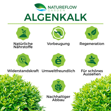 TEST WINNER Organic Algae Lime for Boxwoods – Resistance and regeneration for susceptible boxwoods (boxwood moth) – Premium boxwood fertilizer and spray – Boxwood fertilizer 5kg