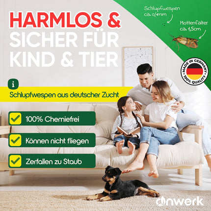 anwerk® Parasitic Wasps against Clothes Moths - 8 cards with 1 delivery each - Effectively combat clothes moths - Alternative to moth traps, moth sprays, and pheromone traps