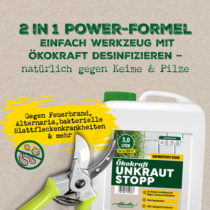 Scheidler Ökokraft Weed Stop Base Vinegar/Acetum 3 Liters – Natural Weed Killer for 500 m2 Extra Strong – Weed Remover for Paths/Paving/Patios – Long-Term Weed-Free