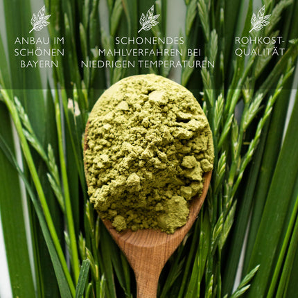 Organic barley grass powder 900g value pack from German cultivation Organic quality from Bavaria Barley grass powder vegan laboratory tested organic cultivation