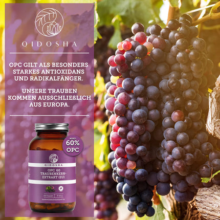 QIDOSHA® Premium OPC Grape Seed Extract High Dose I TEST WINNER 08/2023* I 240 Capsules in a Jar I Grape Seed Extract Capsules High Dose with 60% Pure OPC I Vegan