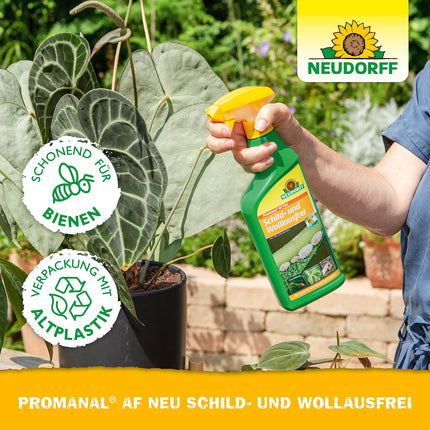 Neudorff Promanal AF New Scale and Mealybug Free – Combats scale and mealybugs as well as spider mites on hard-leaved ornamental plants such as oleander and olive, 500 ml, colorful