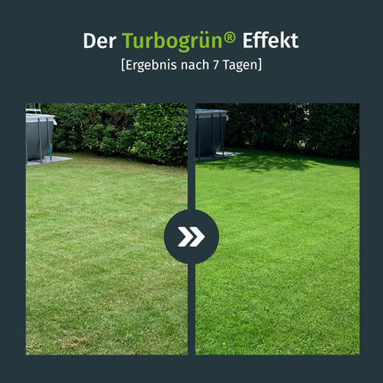 Turbogreen lawn fertilizer spring 20kg, healthy lawn, displaces moss, ideal for spring and summer, suitable for spreader, low-dust granules, lawn fertilizer
