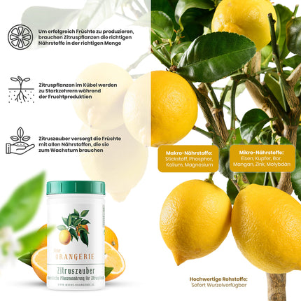 My Orangery Citrus Fertilizer for all Citrus Plants [1kg] - Premium Plant Fertilizer - Professional Citrus Fertilizer for Lemon Trees, Orange Trees, Limes and many more (1000 grams)