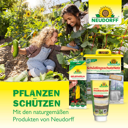 Neudorff Caterpillar and Ant Glue Ring – Protects fruit and ornamental trees against pests that crawl up the trunk, highly adhesive and insecticide-free, 3 m, Green