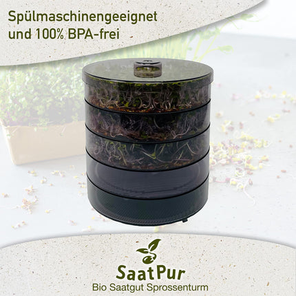 SaatPur® Sprouting Box Set 4 with four levels as a sprouting device: Sprout cultivation and microgreens growing trays. Germination box, germination tray, sprouting box, sprouting house, sprouting device