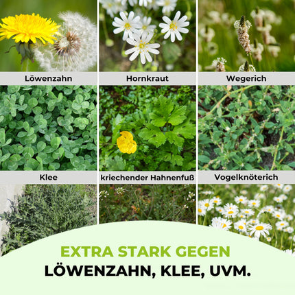 TerraUno lawn fertilizer with extra-strong weed killer, 100-day long-term effect, 5 kg for 250 m², against dandelions, clover, and much more. Lawn weed killer with fertilizer for lush green grass in spring and summer.