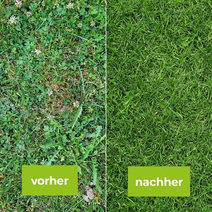 PROTECT GARDEN Universal Lawn Weed Killer Loredo Quattro Lawn Weed Killer against stubborn weeds with 4-fold action, 400 ml