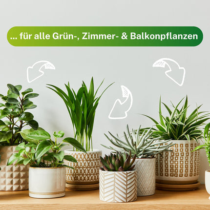 Greenyp 50x universal fertilizer green plants fertilizer sticks for all green plants, houseplants and balcony plants I long-term fertilizer NPK fertilizer with extra iron and 3 months fertilizing power