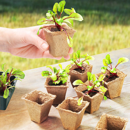 Meister Growing Pots 3.5 x 3.5 cm - Practical set of 96 - 100% peat-free made from PEFC-certified cellulose - Biodegradable / Plant Pot / Seed Pot / Plant Propagation / 9968270
