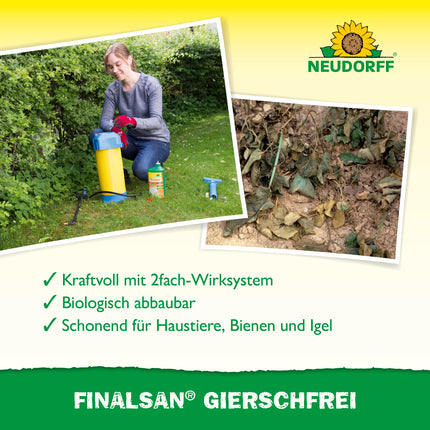 Neudorff Finalsan GierschFrei – Fast-acting weed killer against ground elder and horsetail for 180 m². Effective right down to the roots, 1 liter