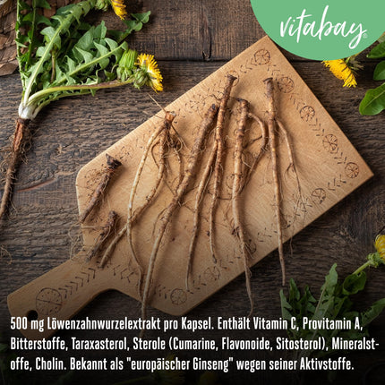 Vitabay Dandelion Root Extract 500mg - 120 Dandelion Capsules High Dose &amp; Vegan - Dandelion Extract Dandelion Extract Dandelions - Dandelion Root Capsules Dandelion Taraxacum Laboratory Tested