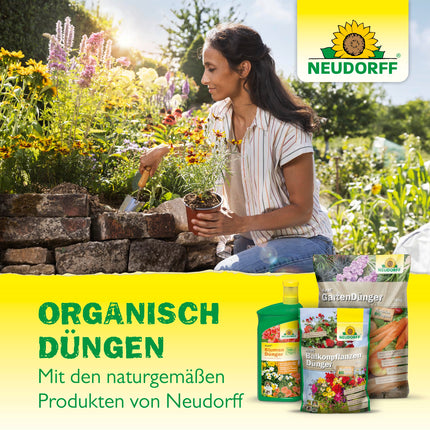 Neudorff Azet Citrus &amp; Mediterranean Plant Fertilizer – Organic slow-release fertilizer with mycorrhiza promotes aromatic fruits such as lemons, oranges, and olives, 750 g, Brown